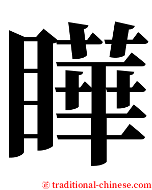 瞱 serif font