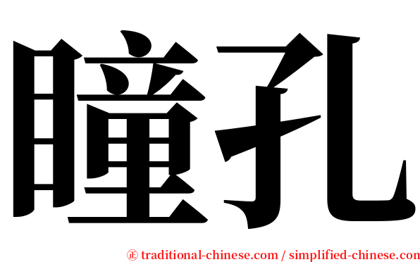 瞳孔 serif font