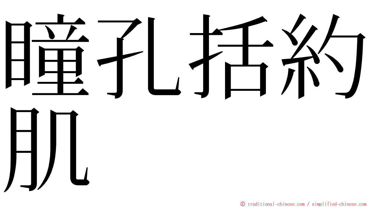 瞳孔括約肌 ming font