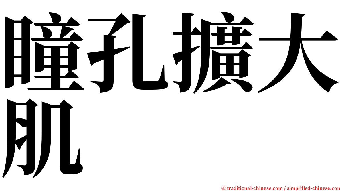 瞳孔擴大肌 serif font