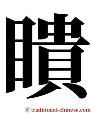 瞶 serif font