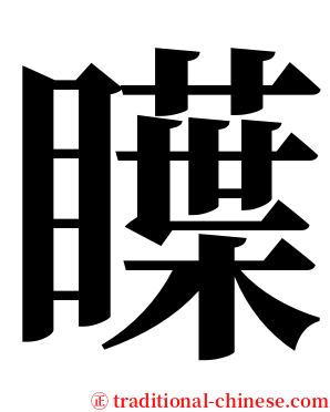 瞸 serif font