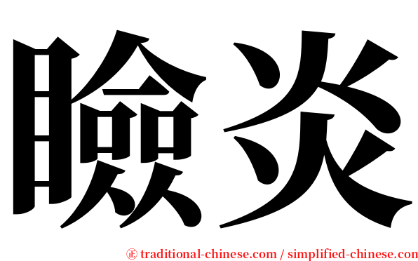 瞼炎 serif font