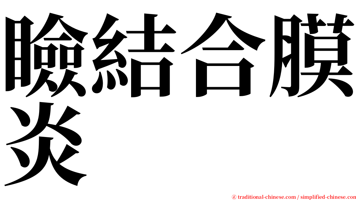 瞼結合膜炎 serif font