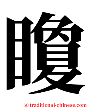 矎 serif font