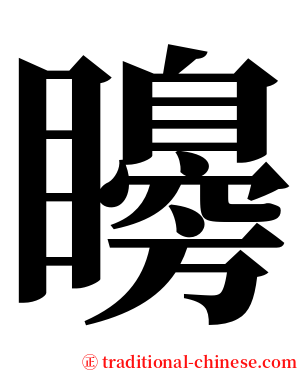 矏 serif font