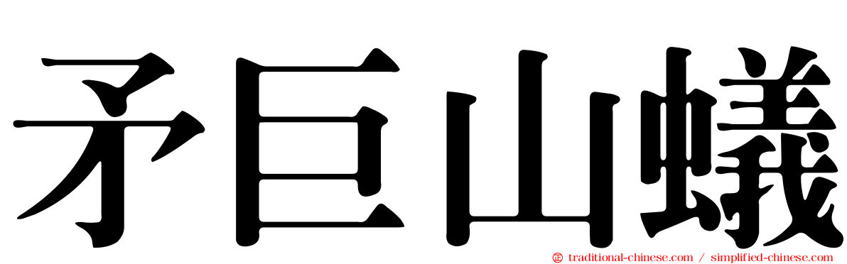 矛巨山蟻