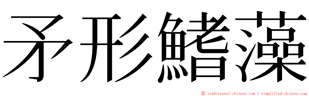 矛形鰭藻 ming font