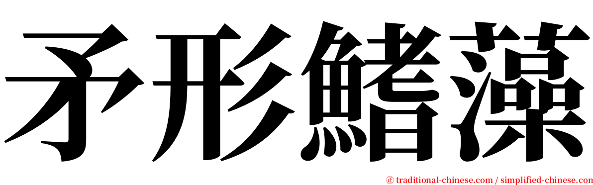 矛形鰭藻 serif font