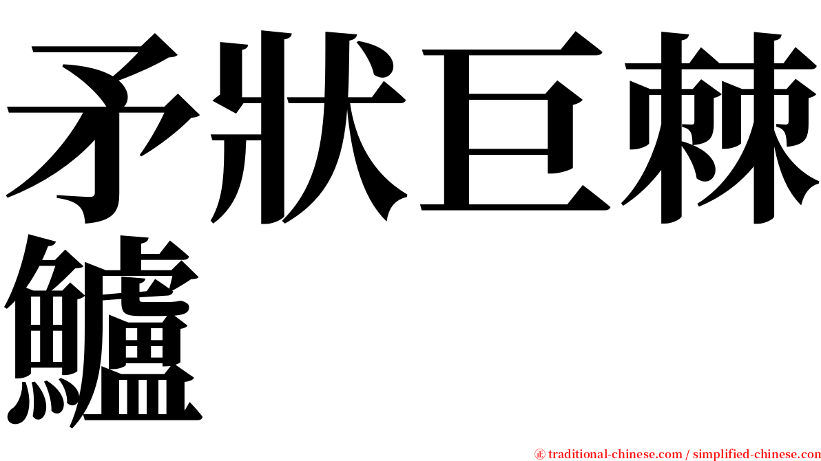 矛狀巨棘鱸 serif font