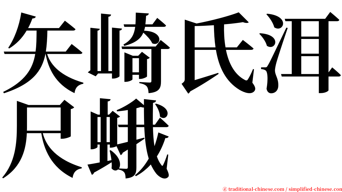 矢崎氏洱尺蛾 serif font