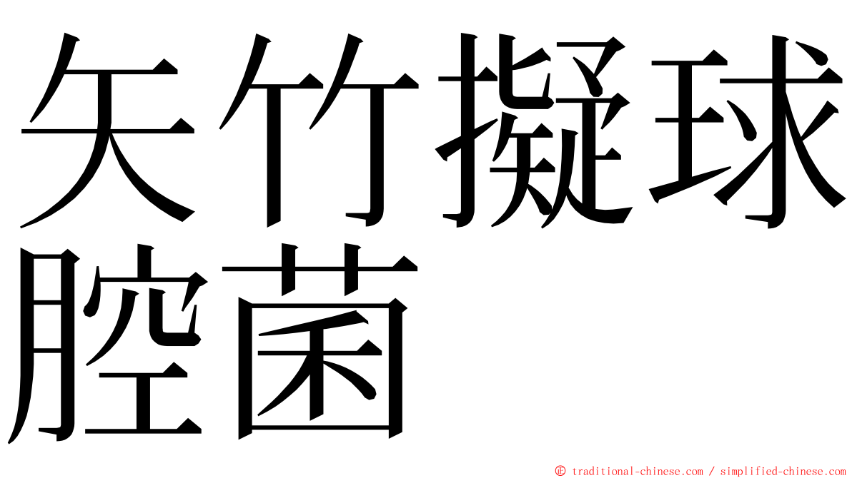 矢竹擬球腔菌 ming font