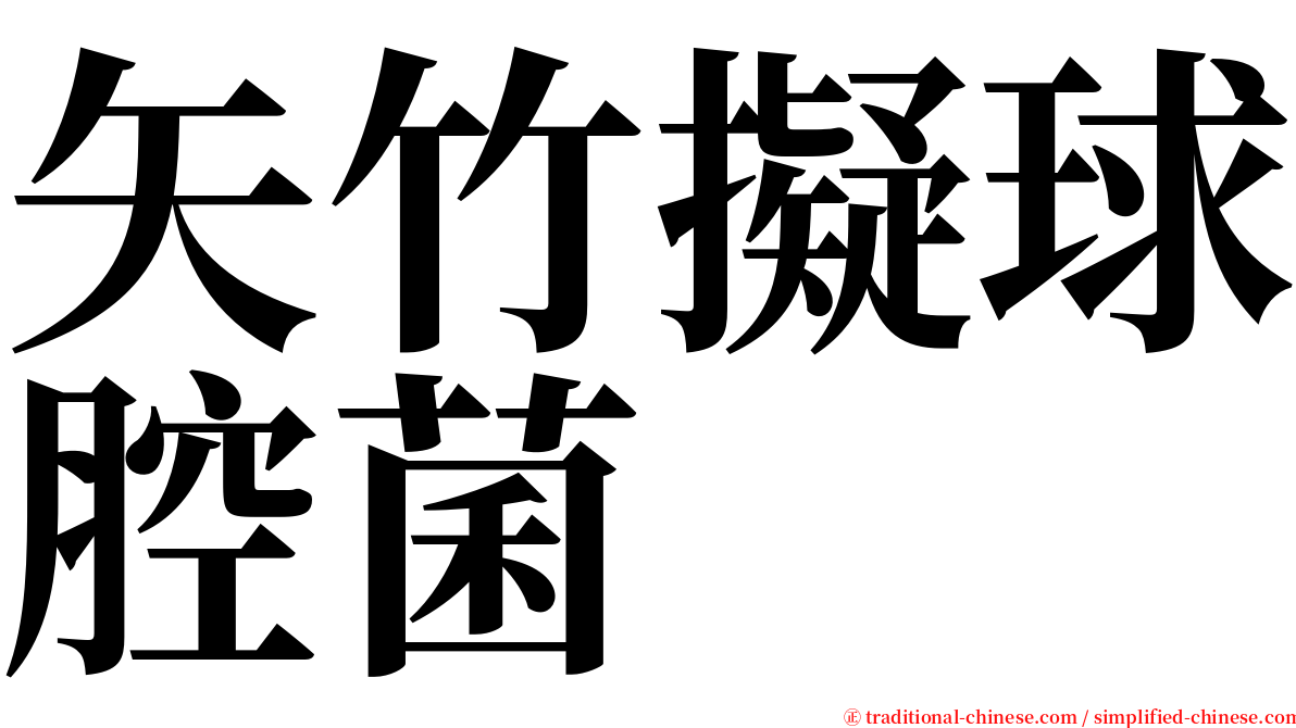 矢竹擬球腔菌 serif font