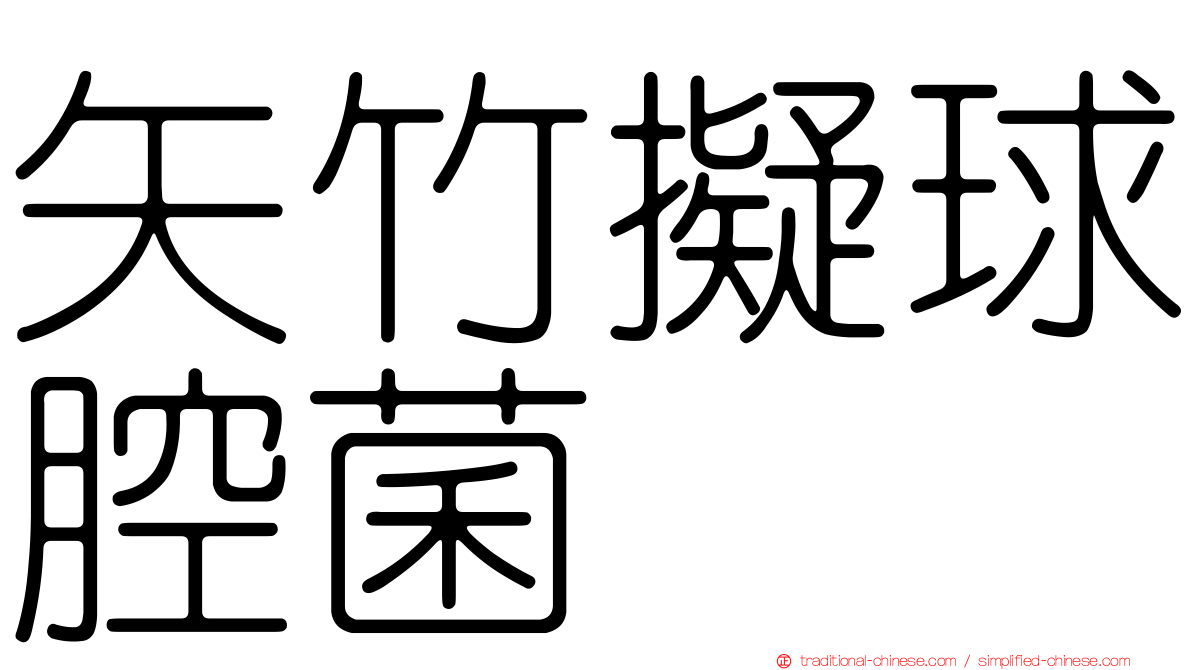矢竹擬球腔菌