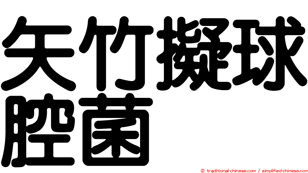矢竹擬球腔菌