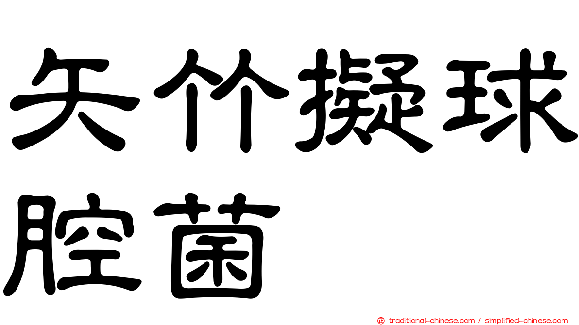 矢竹擬球腔菌