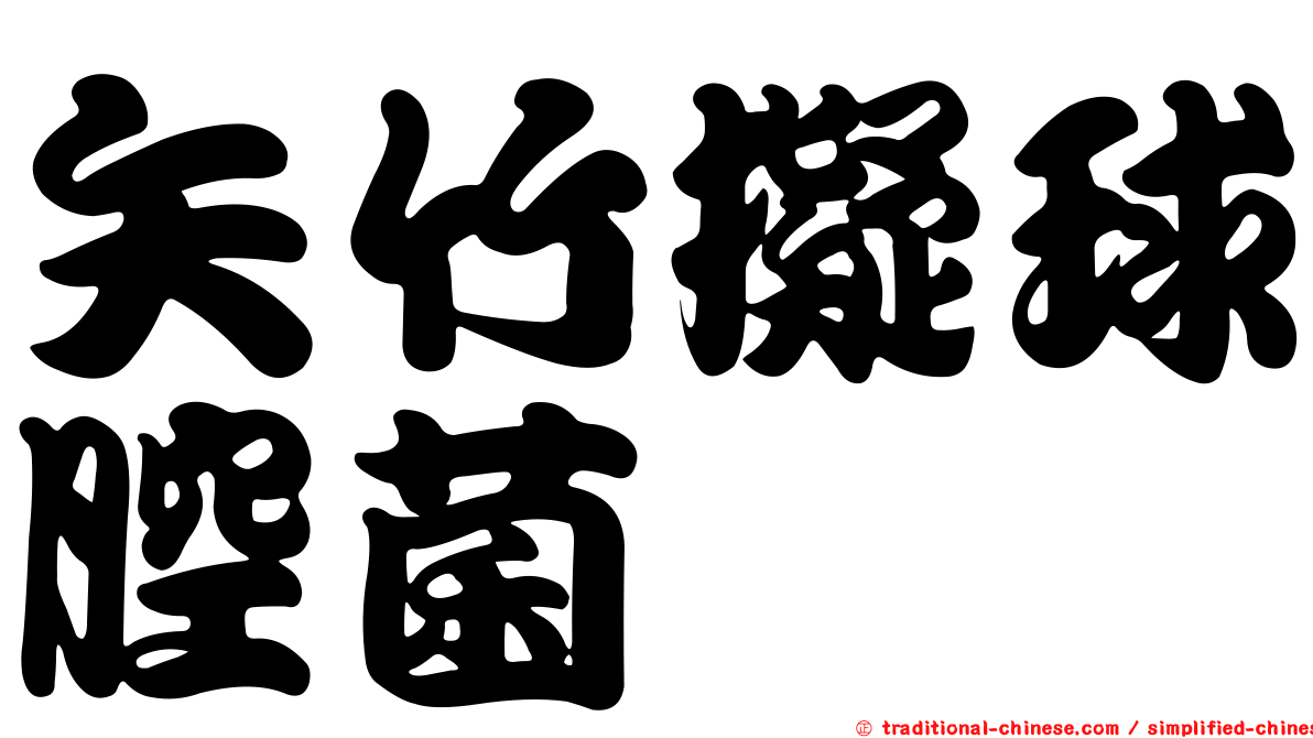 矢竹擬球腔菌