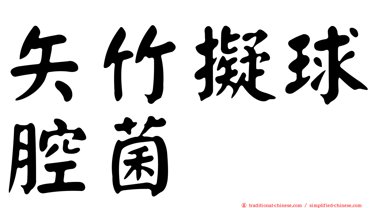 矢竹擬球腔菌