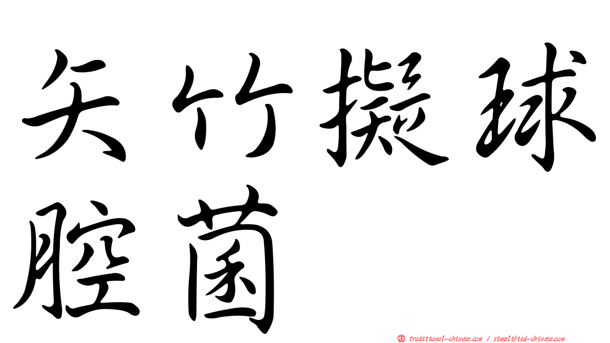 矢竹擬球腔菌