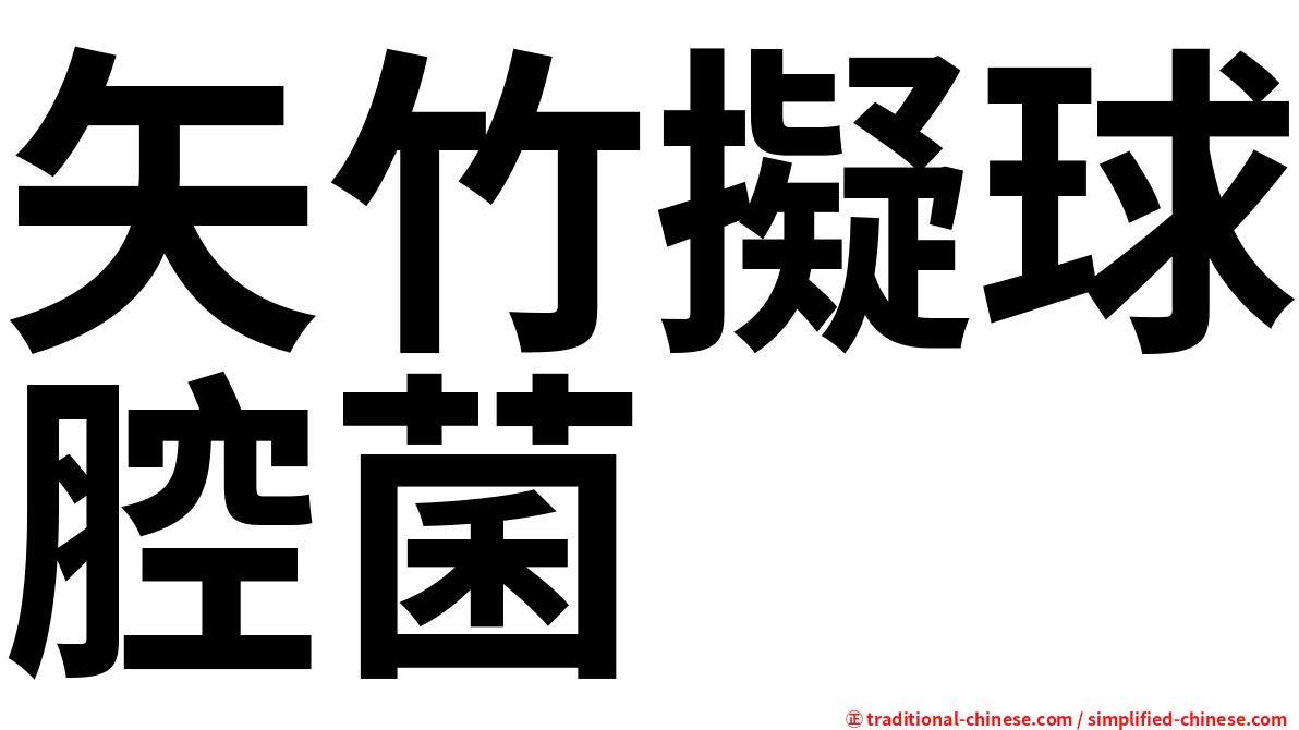 矢竹擬球腔菌