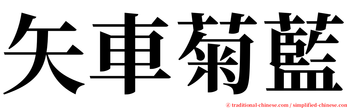 矢車菊藍 serif font