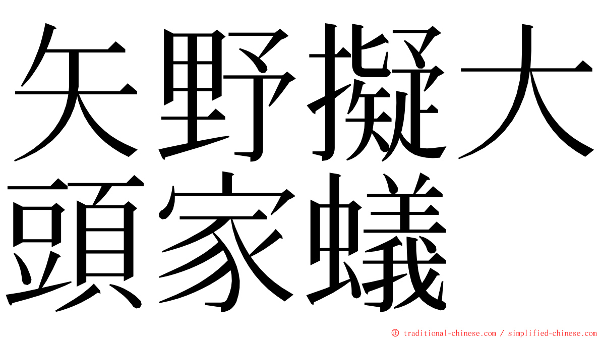 矢野擬大頭家蟻 ming font