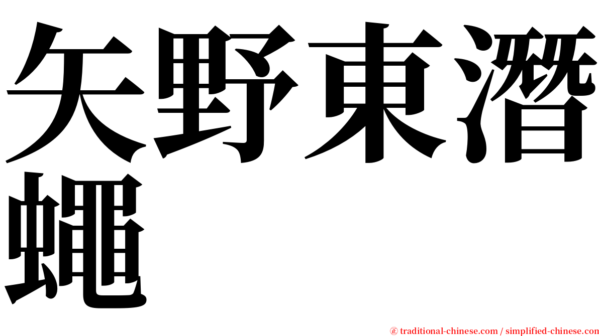 矢野東潛蠅 serif font