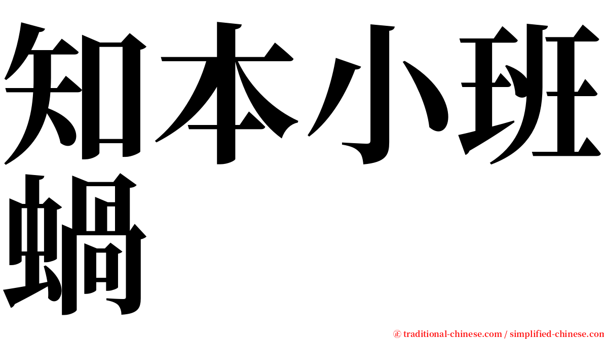 知本小班蝸 serif font