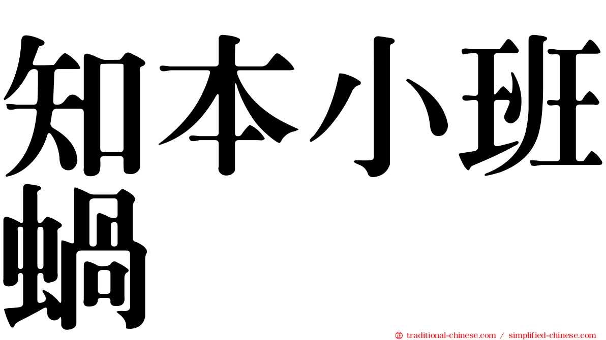 知本小班蝸