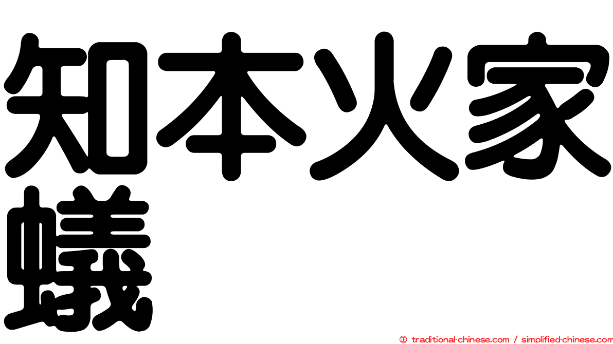 知本火家蟻