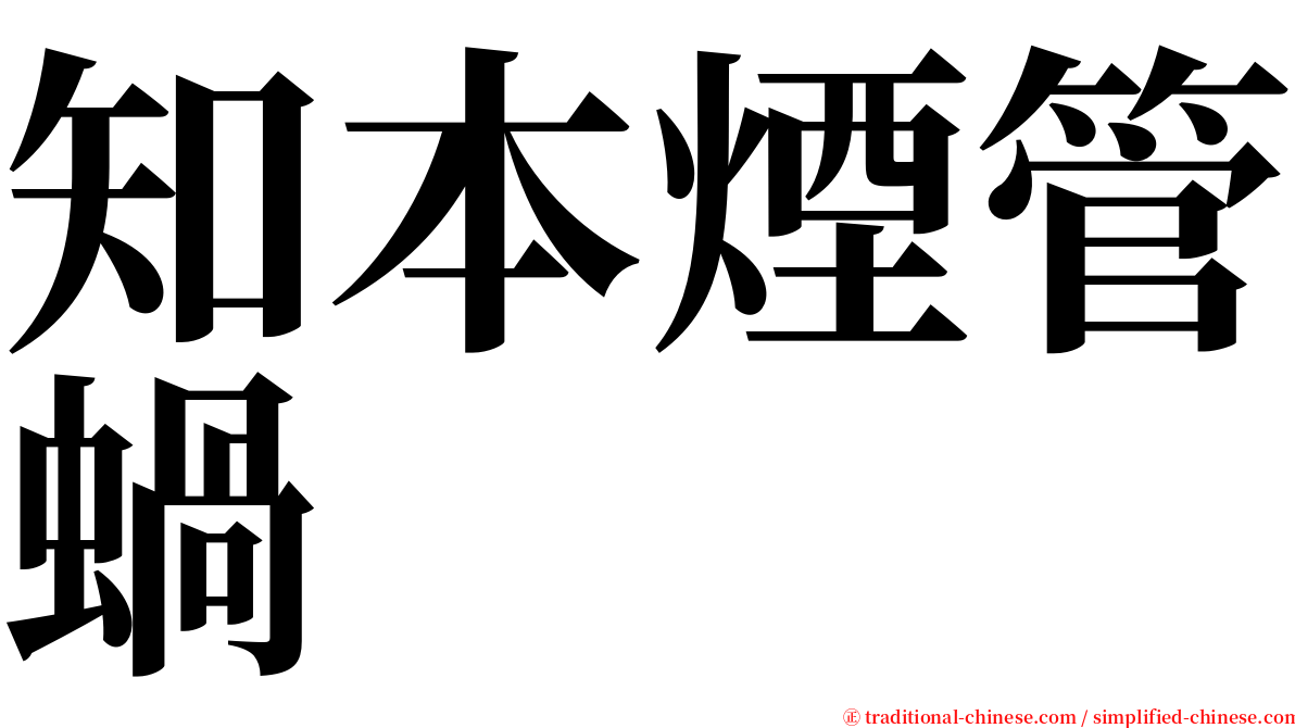 知本煙管蝸 serif font