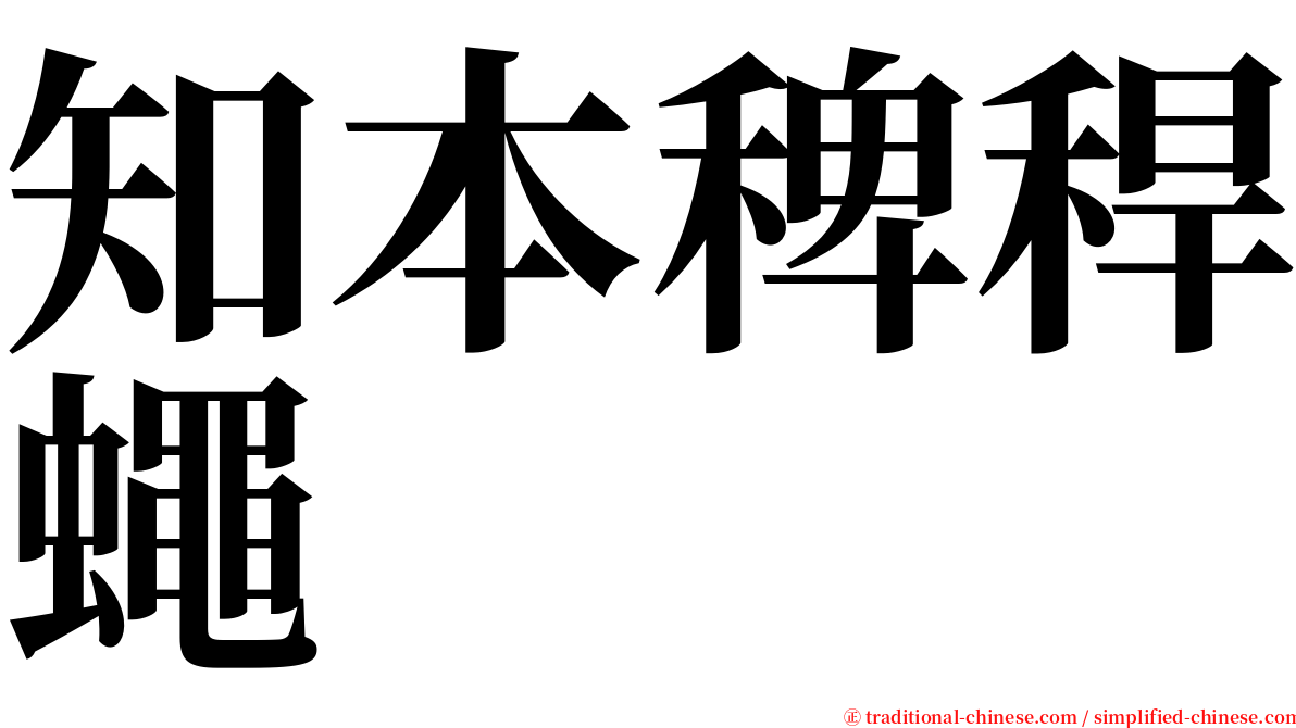 知本稗稈蠅 serif font