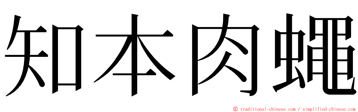 知本肉蠅 ming font