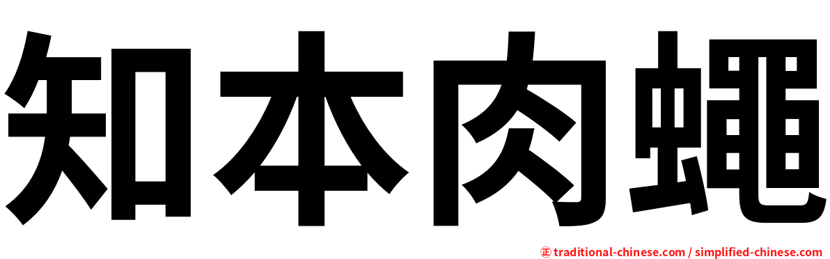 知本肉蠅