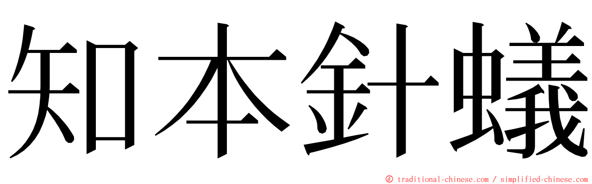 知本針蟻 ming font