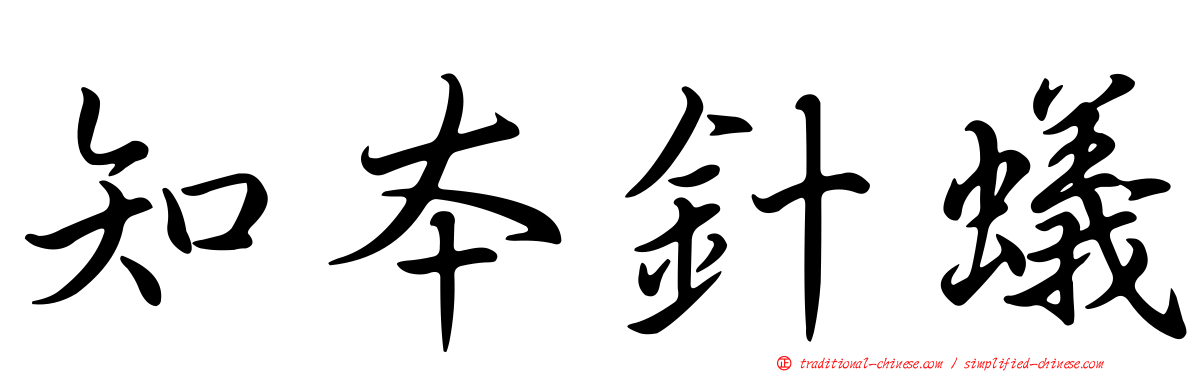 知本針蟻