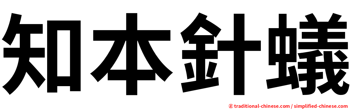 知本針蟻