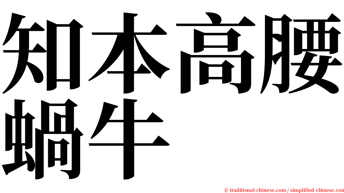 知本高腰蝸牛 serif font