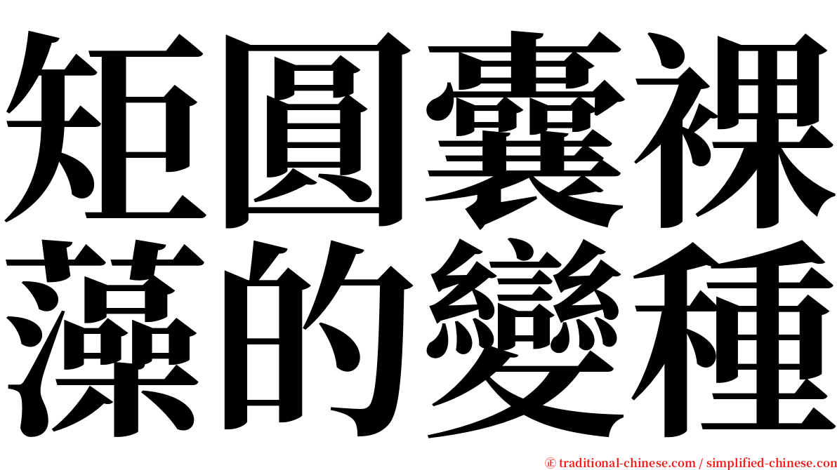 矩圓囊裸藻的變種 serif font