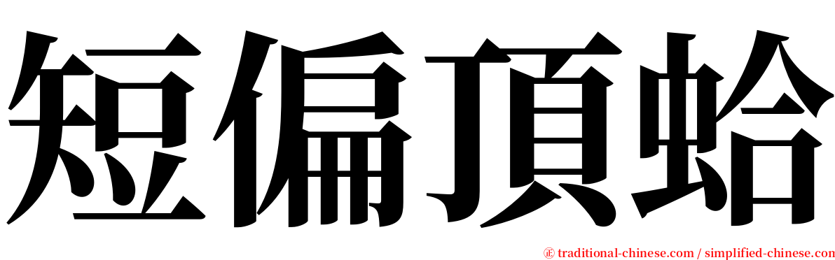 短偏頂蛤 serif font