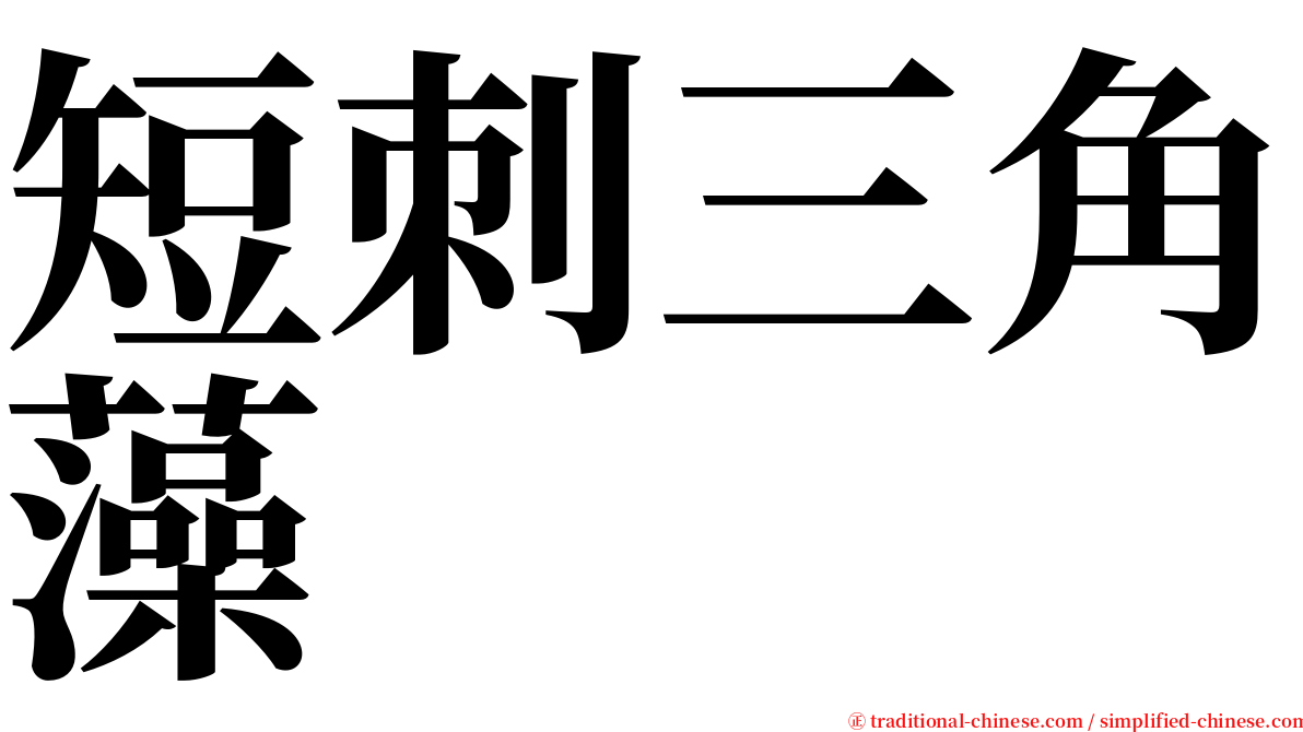 短刺三角藻 serif font