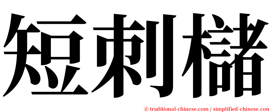 短刺櫧 serif font