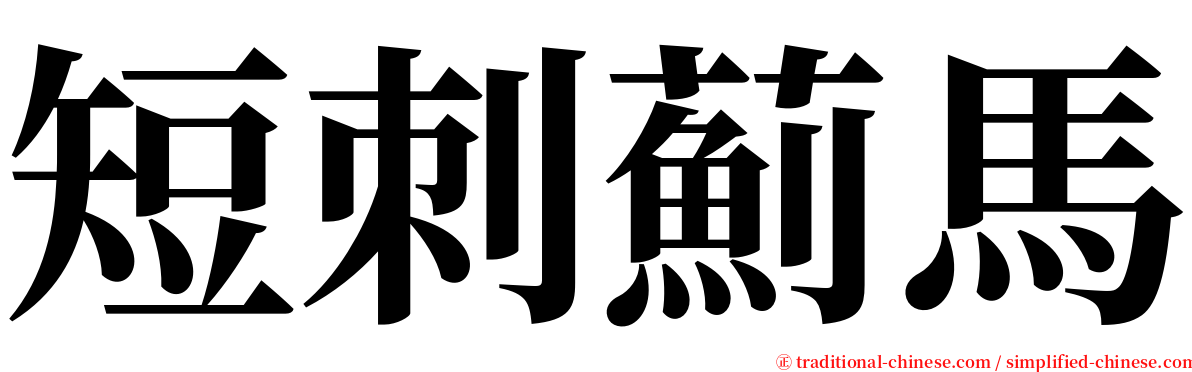 短刺薊馬 serif font