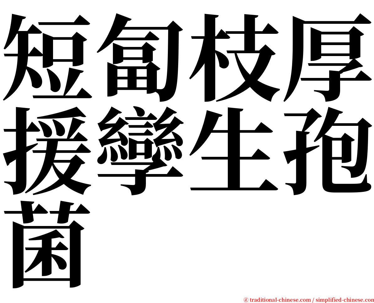 短匐枝厚援孿生孢菌 serif font