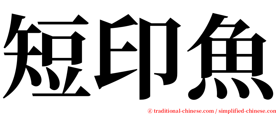 短印魚 serif font