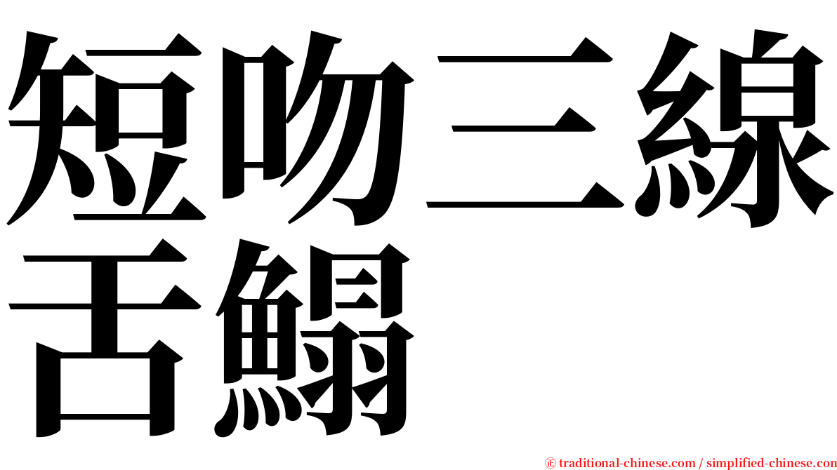 短吻三線舌鰨 serif font