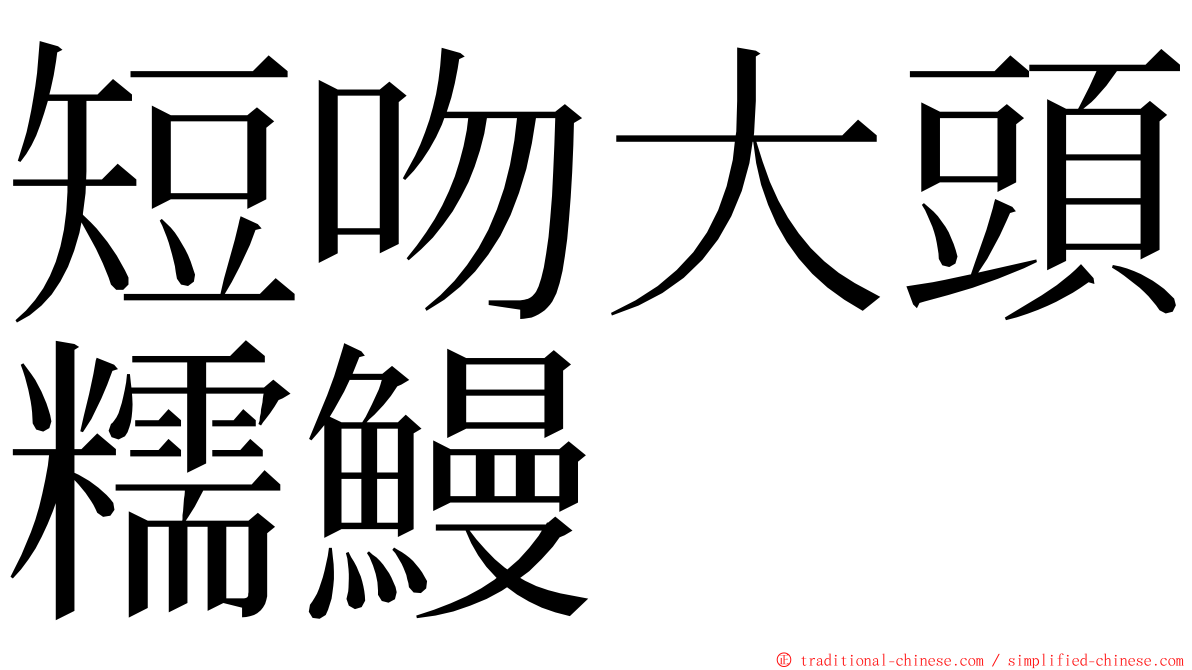 短吻大頭糯鰻 ming font