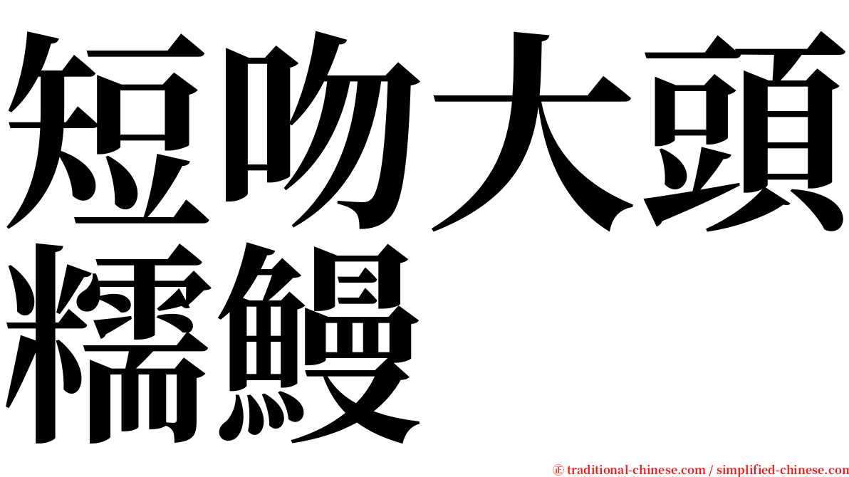 短吻大頭糯鰻 serif font