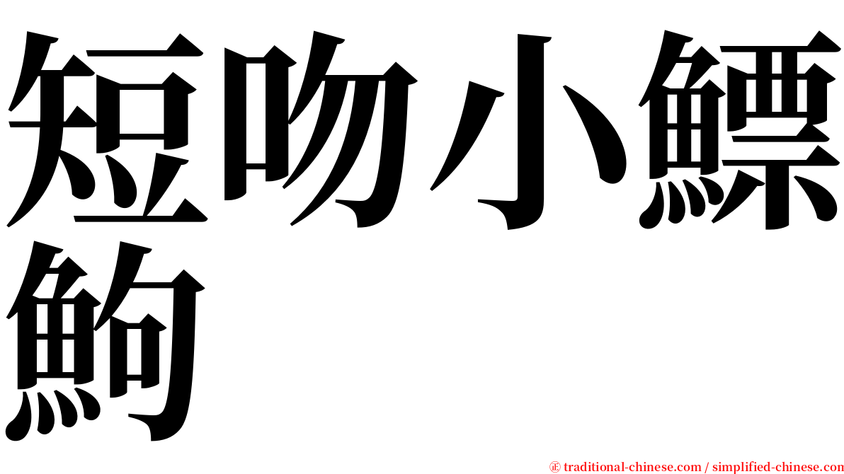 短吻小鰾鮈 serif font