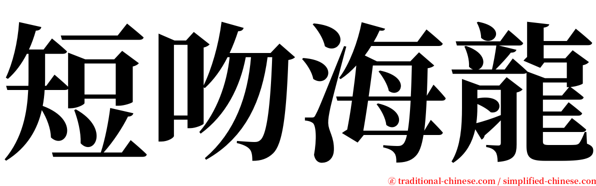 短吻海龍 serif font
